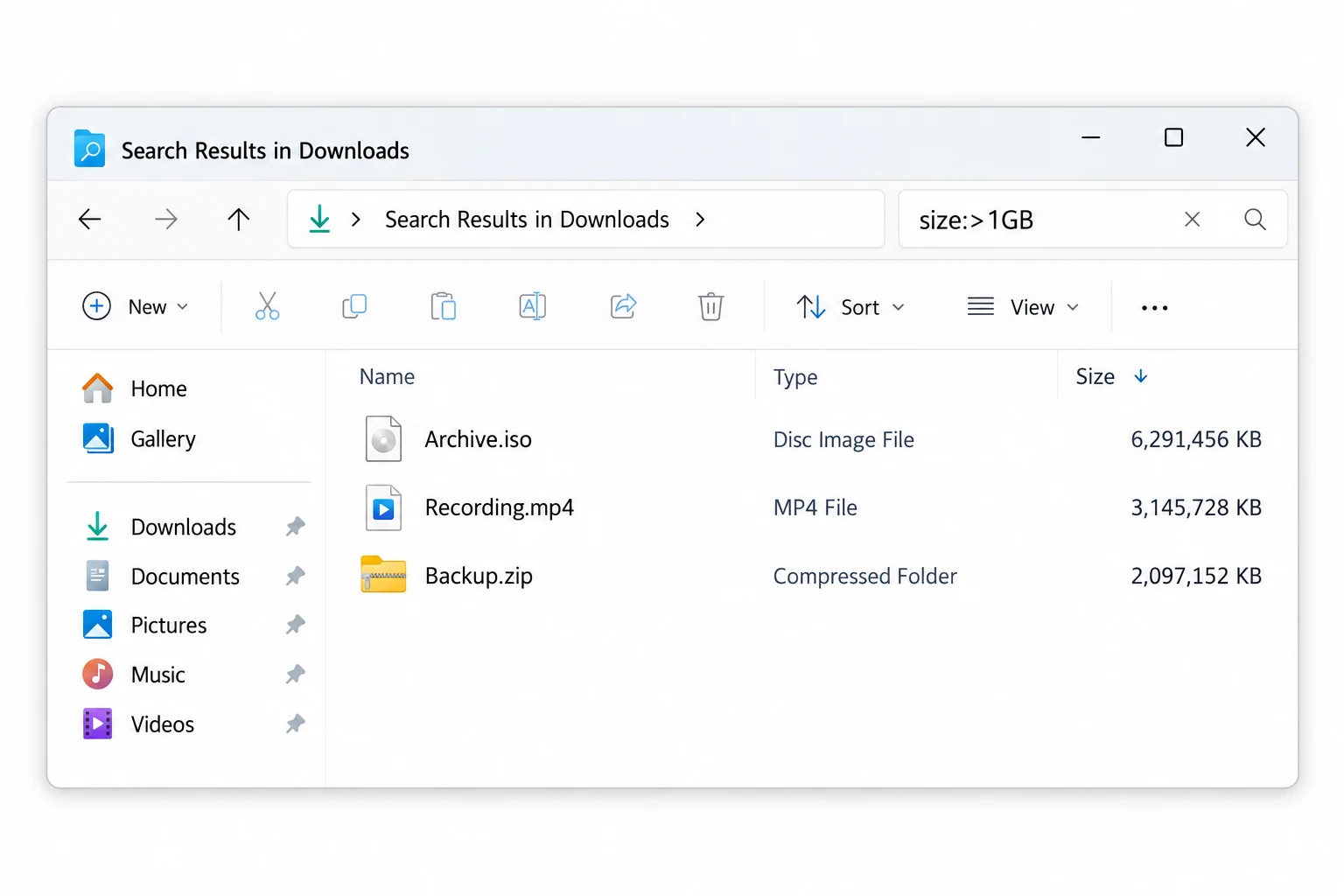 Windows Explorer searching for files larger than 1 GB and sorting results by Size.
