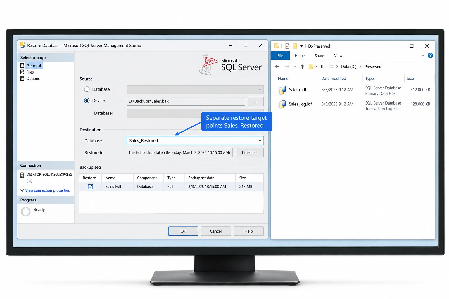 Restore a known-good backup to a separate database while preserving the damaged source files.