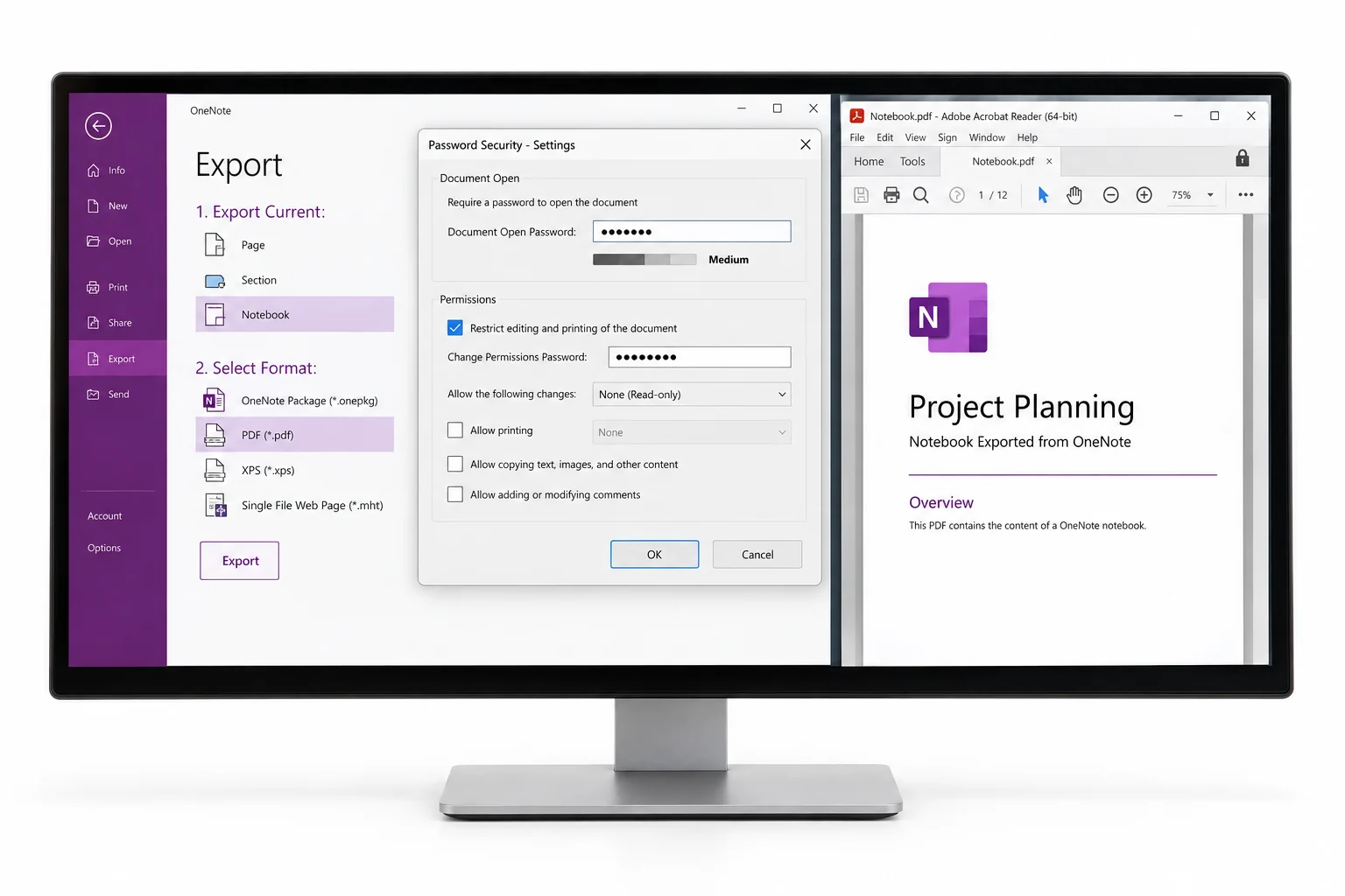 OneNote export settings and a PDF password field with masked characters