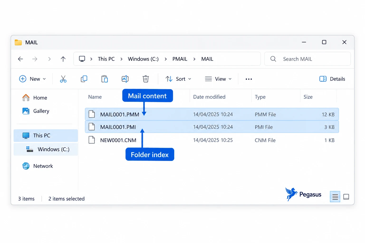 Keep the Pegasus mailbox and its companion index together when copying the source folder.